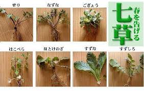 七草