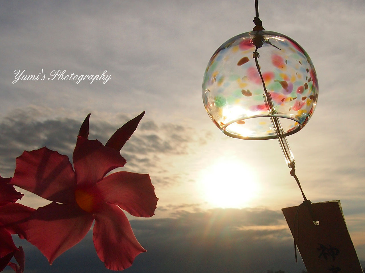 風鈴買った それと夏祭り Yumi S Photography 風鈴買った それと夏祭り Yumi S Photography