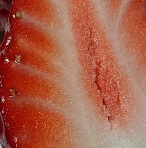 とどいている１