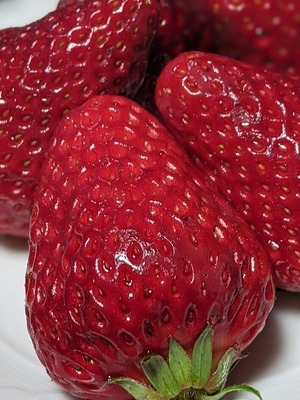 00100lrPORTRAIT_00100_BURST20210323204434226_COVER