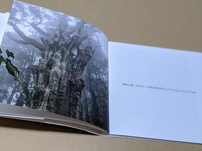 00100lrPORTRAIT_00100_BURST20201214181458284_COVER