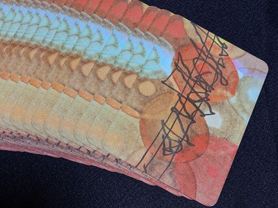 00000IMG_00000_BURST20200121202321245_COVER