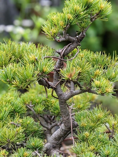 00100lrPORTRAIT_00100_BURST20210502094842531_COVER