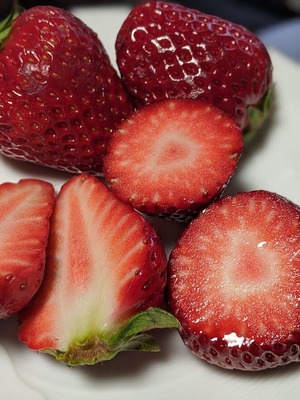 00100lrPORTRAIT_00100_BURST20210323221925363_COVER