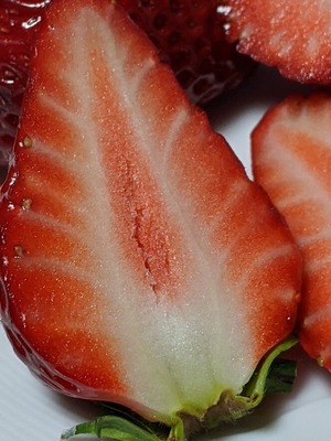 00000IMG_00000_BURST20210323222046413_COVER