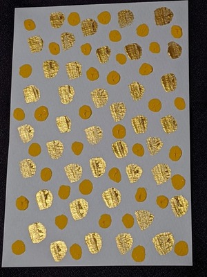 00000IMG_00000_BURST20210112182806967_COVER