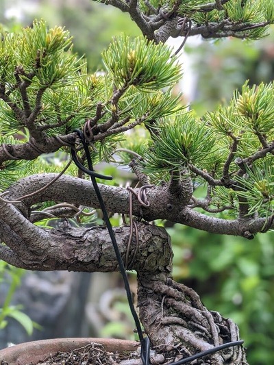 00100lrPORTRAIT_00100_BURST20210502095206464_COVER