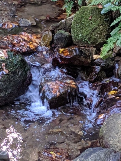 MVIMG_20191123_115043