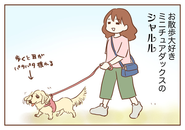犬の散歩　ゆむい
