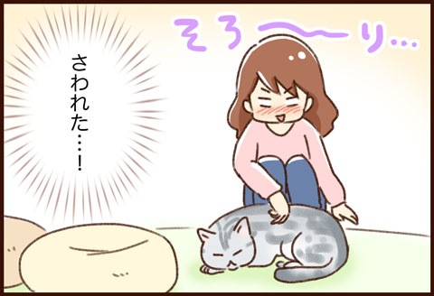 猫カフェ ゆむい