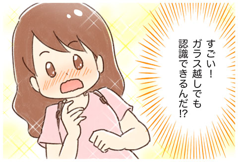 水族館 イルカ ゆむい