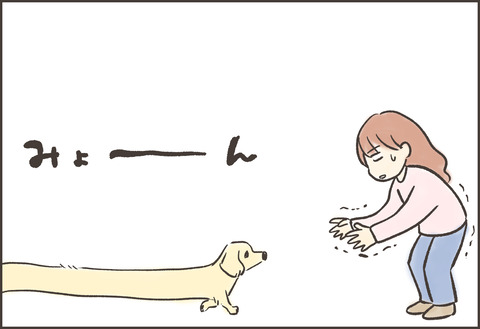 新メンバー ゆむい