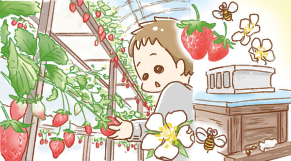 春といえば〇〇〇狩り（キッズコマチ）