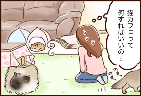 猫カフェ ゆむい