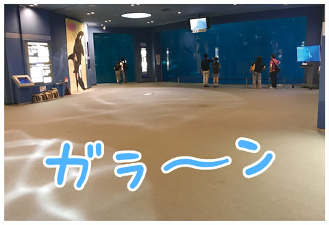 名古屋港水族館 ゆむい