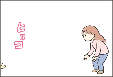 新メンバー ゆむい