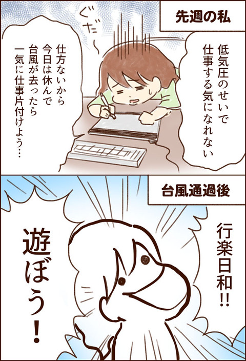 yumui335-1