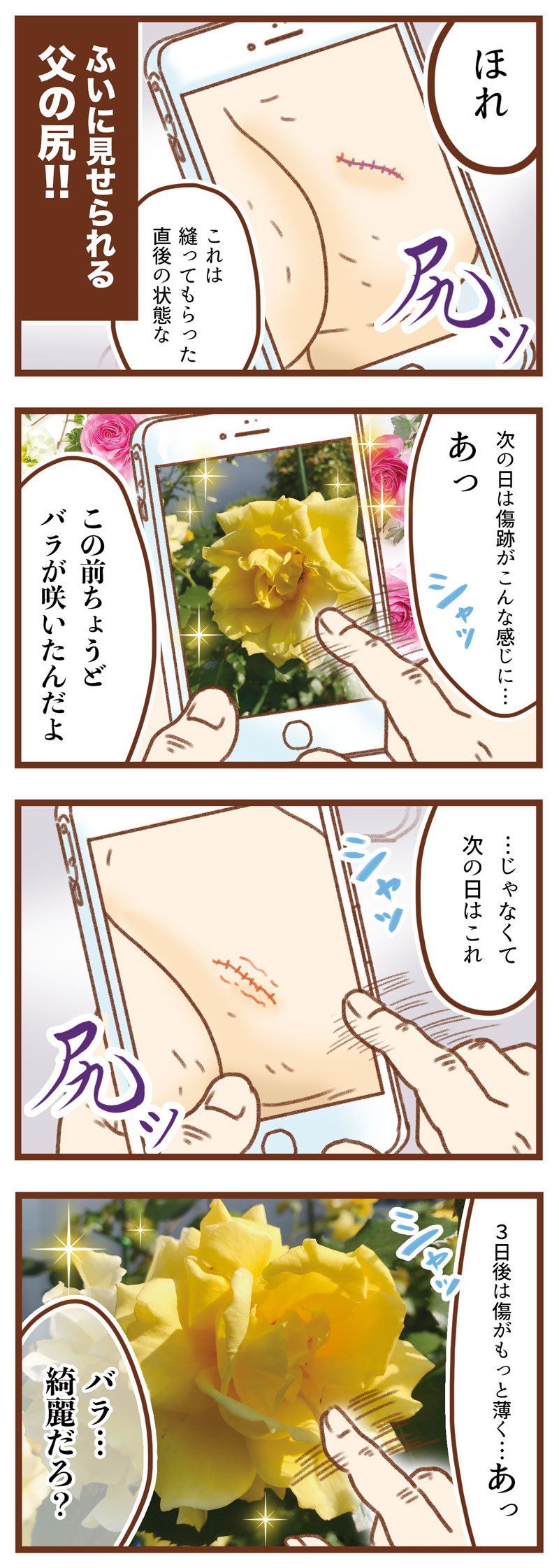 尻と薔薇