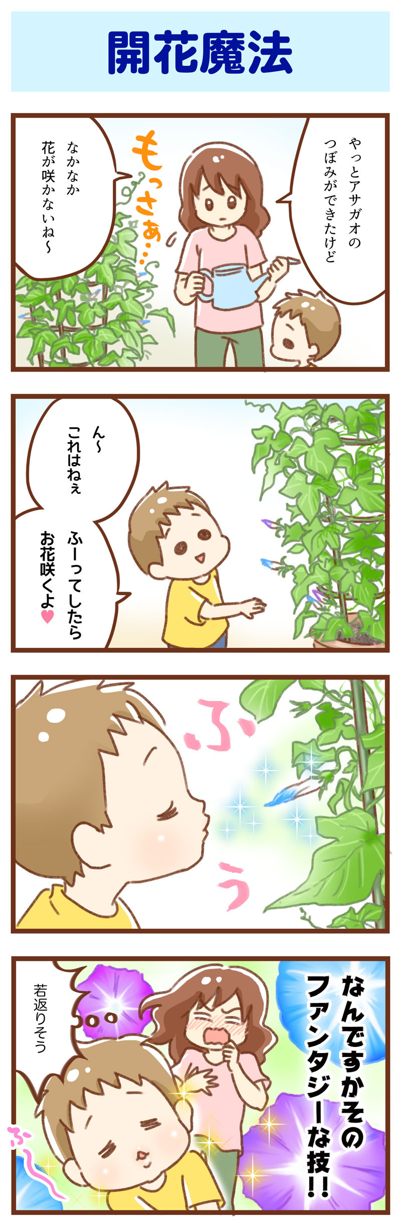 アサガオ 開花 ゆむい