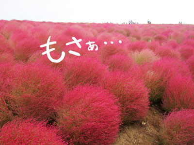 yumui23-3