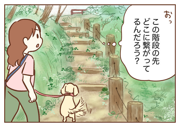 犬の散歩　ゆむい