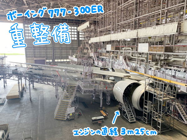 JAL SKY MUSEUM JALスカイミュージアム ゆむい