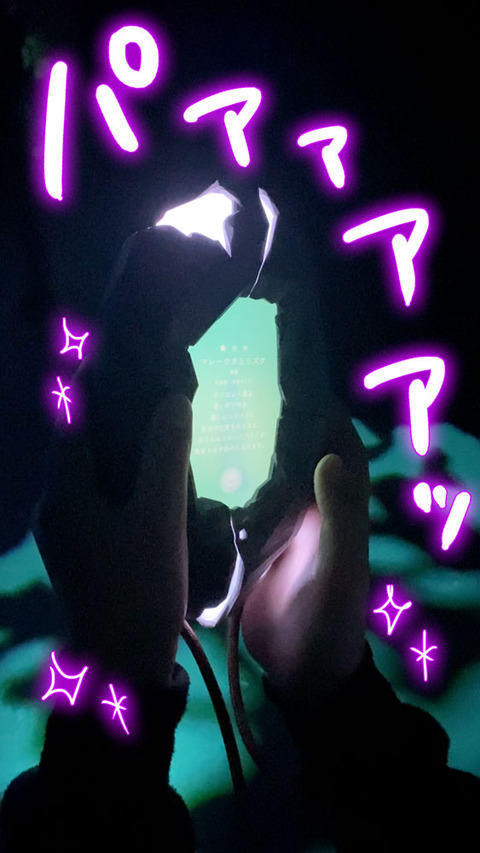 ずかんミュージアム銀座 ゆむい