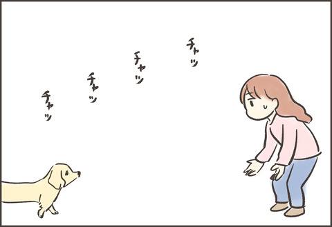 新メンバー ゆむい