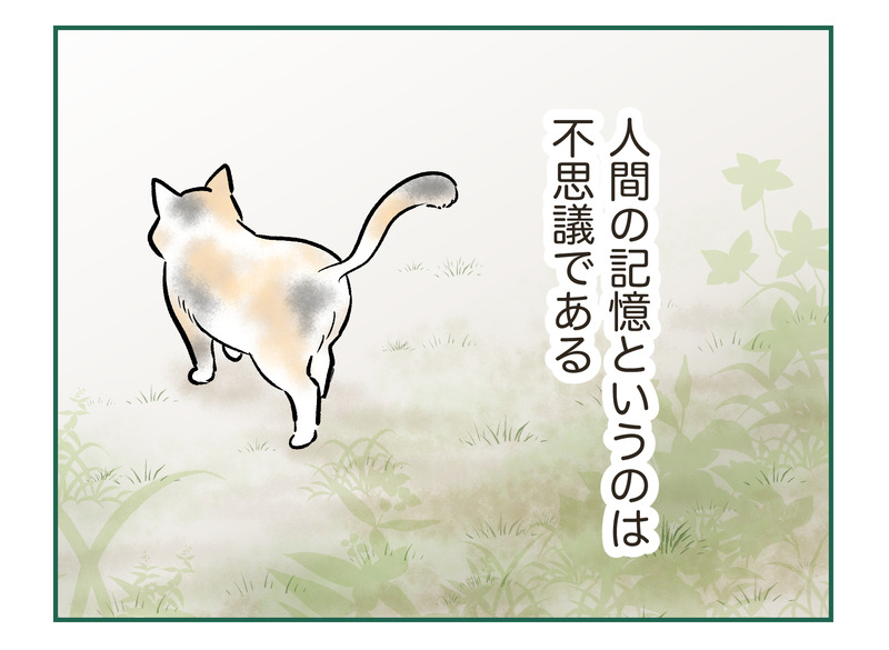 tw_120