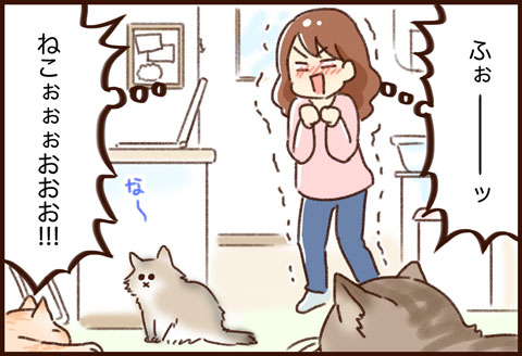 猫カフェ ゆむい