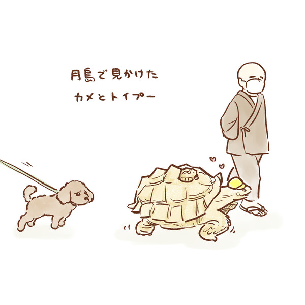 月島 亀