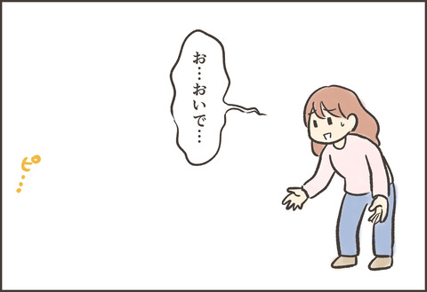 新メンバー ゆむい