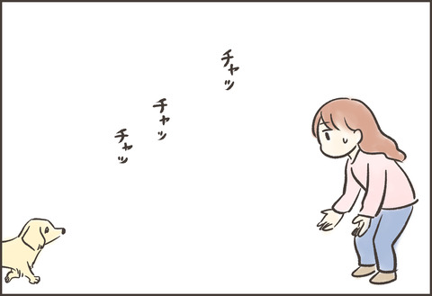 新メンバー ゆむい