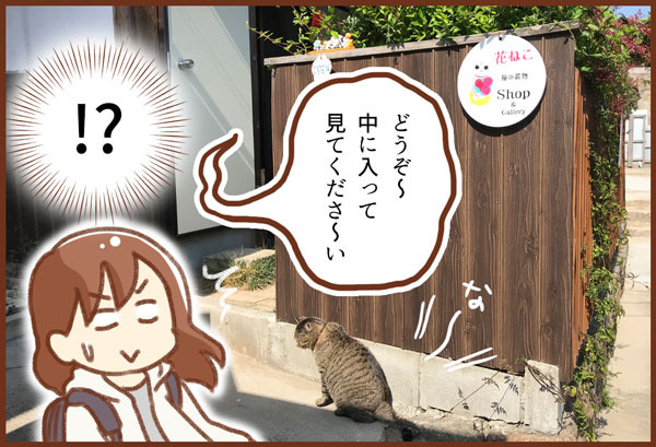 花ねこ