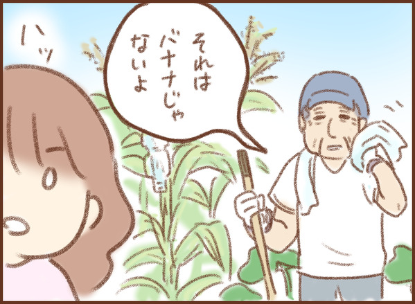 芭蕉 バナナ ゆむい