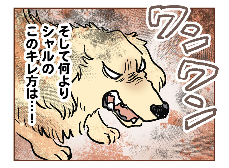 tw_033