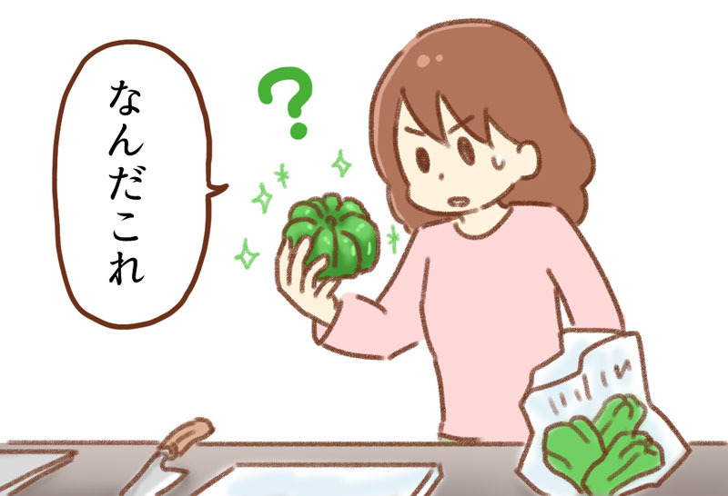 かぼちゃピーマン ゆむい