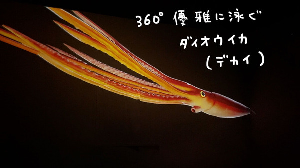 ずかんミュージアム銀座 ゆむい