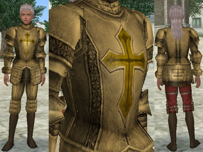 クエスト 獅子心王の鎧 ﾅﾜﾅﾜjournal