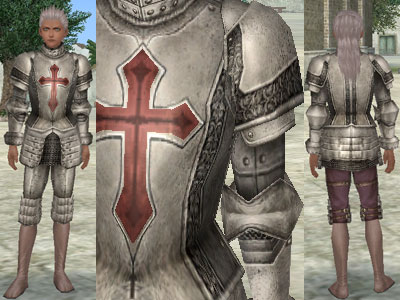 クエスト テンプル騎士団長の鎧 ﾅﾜﾅﾜjournal