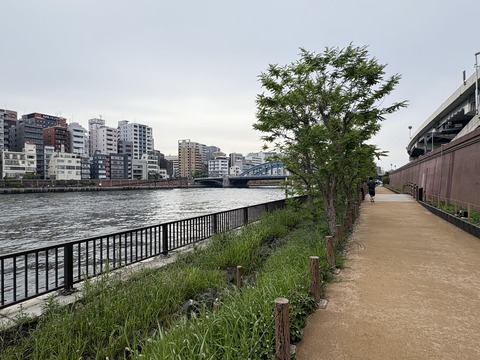 ������ܲ���������� (132)