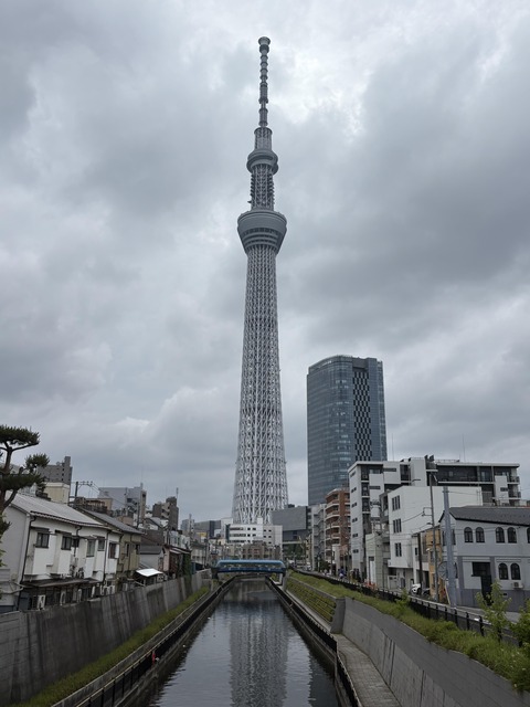 ������ܲ���������� (64)