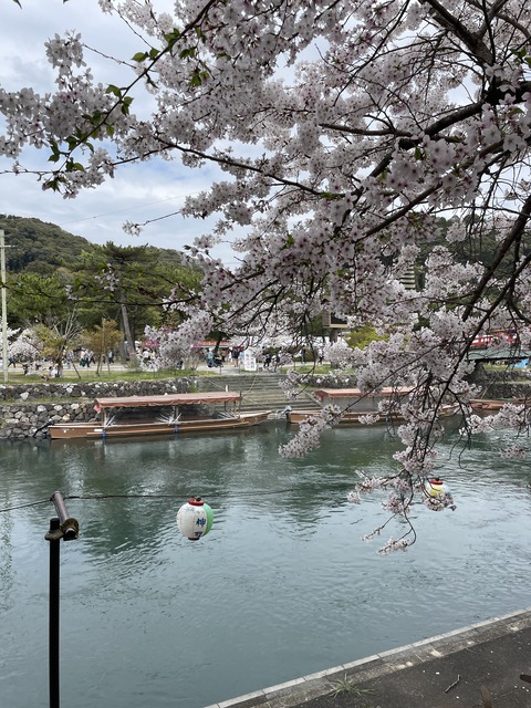 宇治 (8)