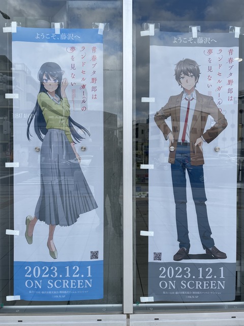 ���ĥ֥��˥��ɥ��륬����ƣ�� (15)