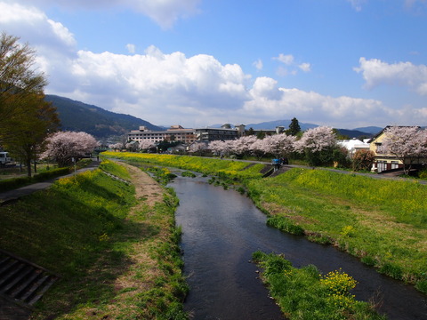 01fe78f6.jpg