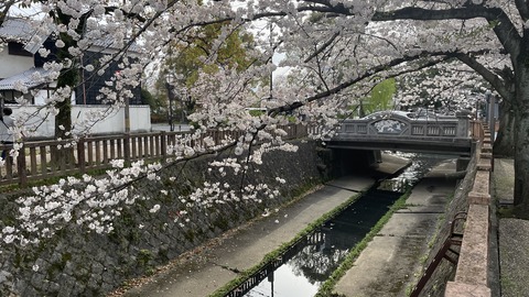 大垣 (8)