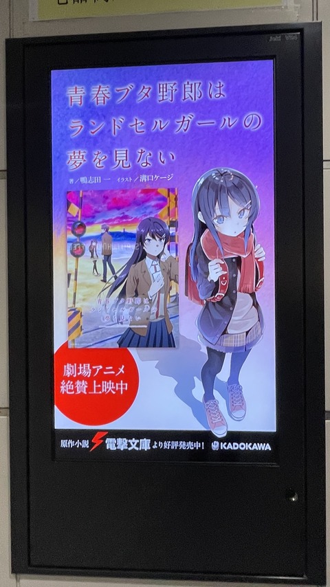 �����ܤν��ո��ȥܡ������ꥳ�ꥳPOP UP STORE (28)