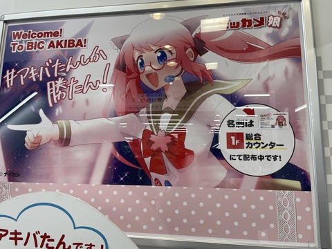 ���ɽ��ո��� (48)_