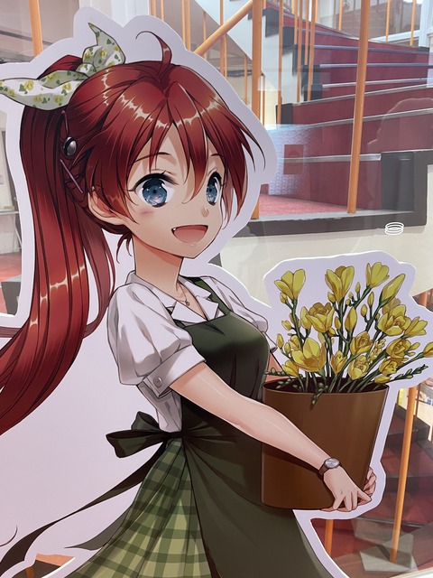 �դ������������ (46)