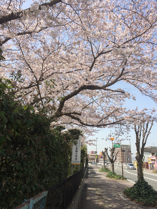 �դ�Ŵƻ�ह���굢ϩ�� (34)